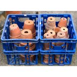 A quantity of small terracotta pots in blue plastic crates