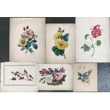 A set of six 19th century and later watercolour flower studies, the largest 37x27cm