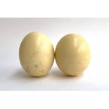 Two ostrich eggs