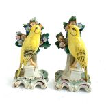 A pair of yellow bird figurines, with encrusted bocage, heightened in gilt, bearing gold Chelsea