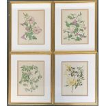 A set of four colour prints, 'Petunia', 'Rose Mermaid', 'Passey Flora', and 'Vinca', 26x20cm (4)