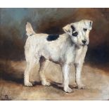 An oil on board, a jack russell terrier, initialled CM to lower left, 21x35cm