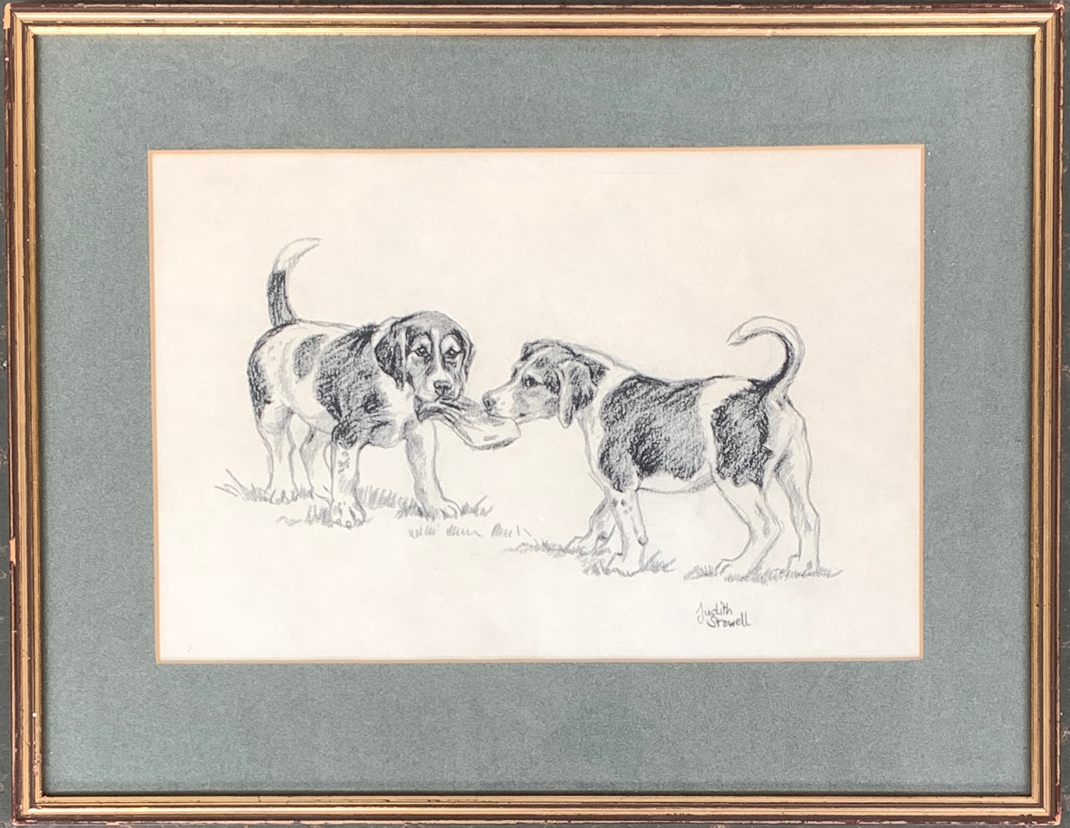 Judith Stowell, beagle puppies at play, pencil, signed lower right, 22x33cm