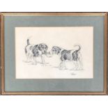 Judith Stowell, beagle puppies at play, pencil, signed lower right, 22x33cm