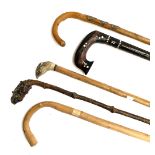 Five various walking sticks, one with pheasant head terminal (5)