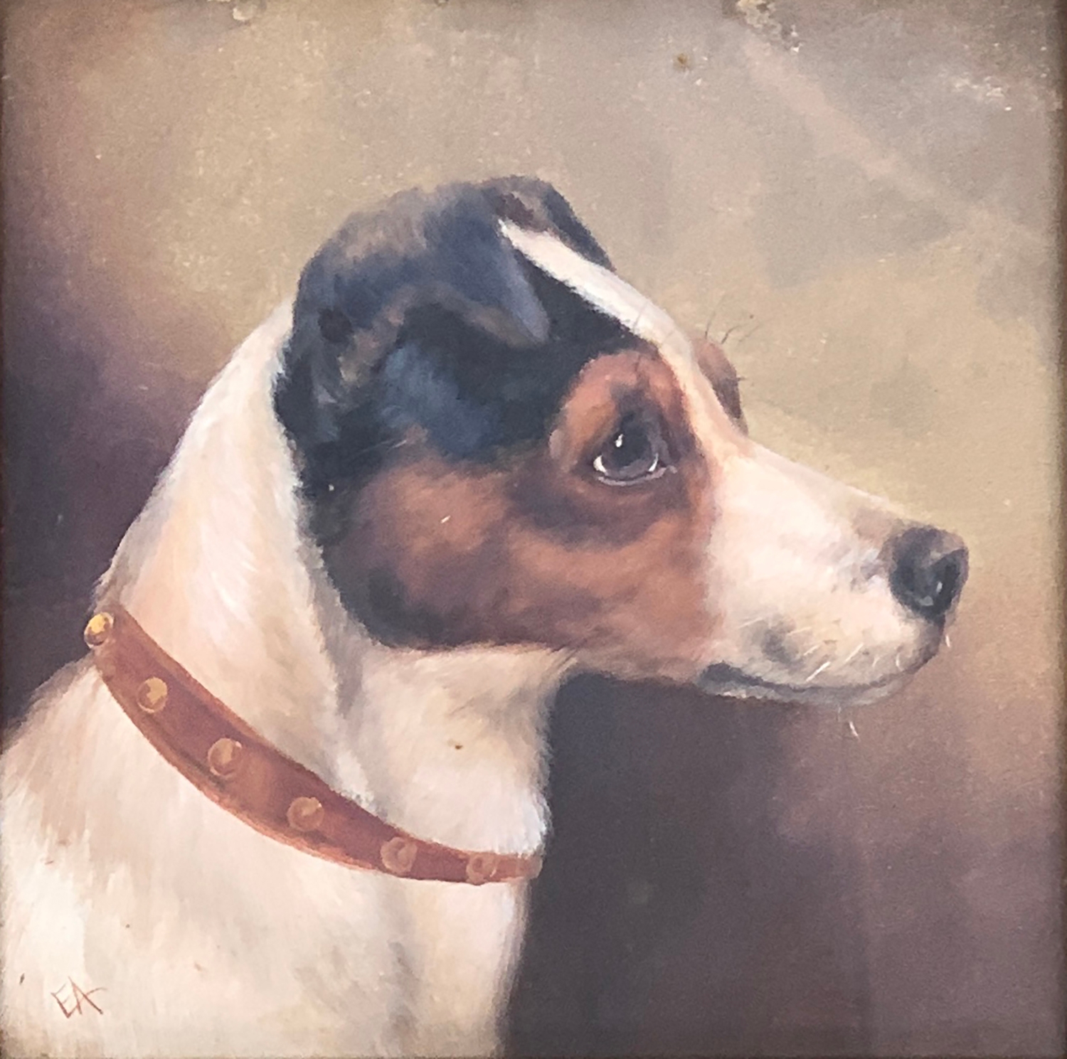 Edward Aistrop (British, fl.1880-1920) Jack Russell Terrier monogrammed 'AE', oil on board, 24 x