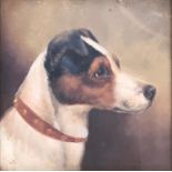 Edward Aistrop (British, fl.1880-1920) Jack Russell Terrier monogrammed 'AE', oil on board, 24 x