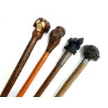 Four novelty walking sticks, each with carved dog head terminal, one with a silver engraved