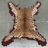 Taxidermy interest: a felt backed leopard skin rug, 135x175cm
