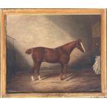 James Clark (British 1858-1943), A Liver Chestnut Hunter 'The Record' in a Stable with a Blanket,
