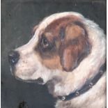 Edward Aistrop (British, fl.1880-1920) St Bernard monogrammed 'AE', oil on board, 13.5 x 13.5 cm