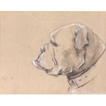 Lesley Ellwood, 'Peter', study of a British bulldog, watercolour heightened in white, 23x29cm,