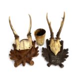 Taxidermy interest: two early 20th century sets of roe deer antlers, mounted on carved shields