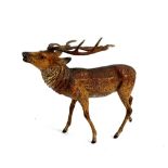 A late 19th century cold painted hollow cast spelter figure of a stag, 28cmL