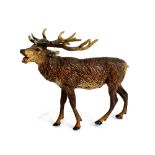 An Austrian Franz Bergman cold painted bronze of a stag, stamped 'B' within ewer mark to