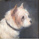Edward Aistrop (British, fl.1880-1920) The Rough Coated Terrier (after Geo. Armfield) monogrammed '