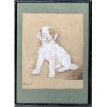 Lesley Ellwood 1921, 'Bitters', study of a terrier, watercolour, 25x20.5cm. Bears black and white