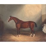James Clark (British 1858-1943), A Bay Hunter 'Sweet William' in a Stable, oil on canvas, signed,