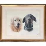 Sue Rollason, pastel study of doberman and retriever, initialled 'SR' with COA to reverse, 30x40cm