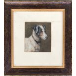 20th century British school, study of a jack russell terrier, oil on board, 15x13cm