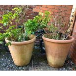 A pair of large terracotta plant pots, approx. 60cmH