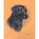 Marjorie Cox (1915-2003), study of a black labrador 'Samburu' 1982, pastel, signed, 48x39cm