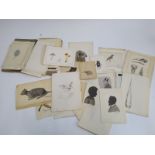 A portfolio of early 20th century drawings by T. Edward Belcher, mainly botanical and
