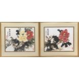 Two Chinese calligraphy and colour wash floral studies, each 39x47.5cm