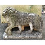 A composite stone lion, 72cmL, 59cmH