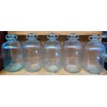 Five one gallon glass demijohns