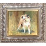 20th century oil on canvas, study of a terrier, signed 'Torey' lower right, inscribed and dated 1988