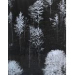 Three contemporary black and white photographic prints of landscapes, each 38 x 29.5cm