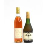 1981 Chateau de Lacaze Bas Armagnac (70cl/46%); Phillipe Rochelle VSOP French Brandy (2)