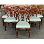 A set of eight balloon back dining chairs with serpentine front and upholstered seats