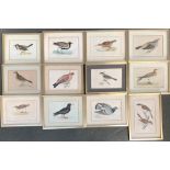 A lot of twelve prints from 'A History of British Birds by Rev. F. O Morris, 1862, to include