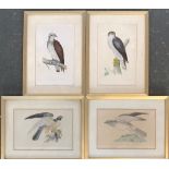 A lot of four prints from 'A History of British Birds by Rev. F. O Morris, 1862', Osprey, Goshawk,