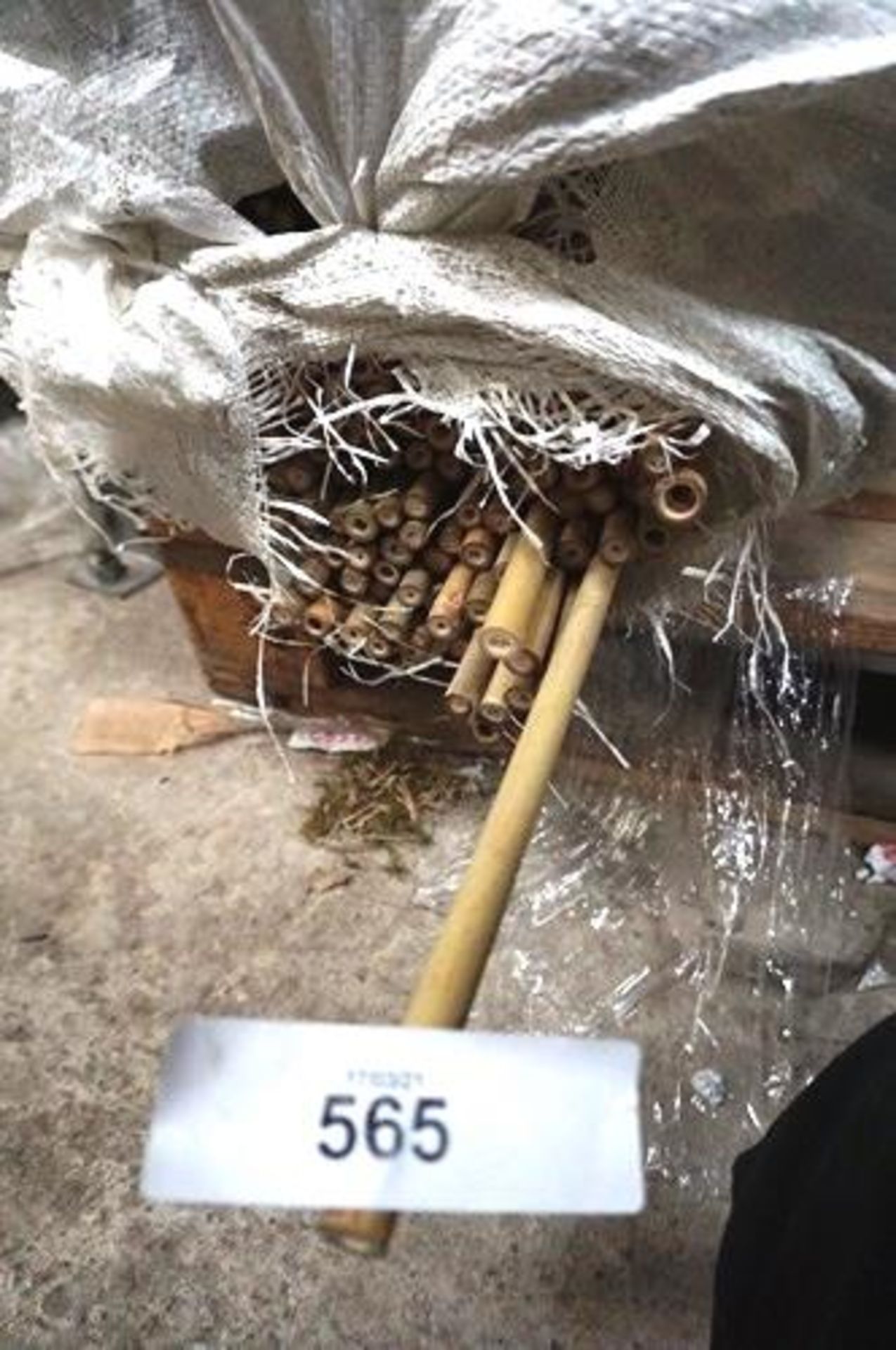 A large quantity of bamboo canes, approximately 3ft long - New (GS40C) - Image 2 of 2