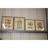 A pair of botanical prints; and another pair depic
