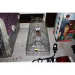 A rat cage