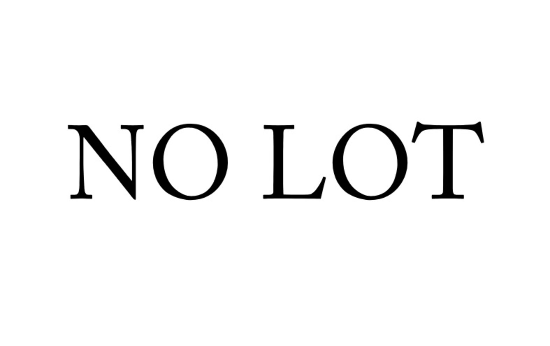 ** NO LOT **