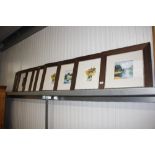 Ten oak framed prints