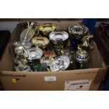 A quantity of sporting trophies