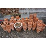 A large quantity of terracotta flower pots, plante