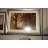 A large photographic print depicting an Autumn woo