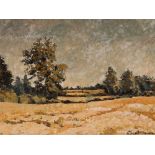 Jean Wilson, rural landscape study, signed oil on board, 1964, 46cm x 60cm