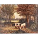 William Van Dan Berghe, woodland scene with cattle watering, signed oil on canvas, unframed 50cm x
