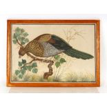 An Eastern watercolour on fabric, depicting an exotic bird perched on leaf and blossom laden branch,