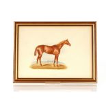 A large collection of equestrian coloured prints, depicting famous horses with their lineage verso