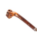 A rustic walking cane, having white metal band, the head carved in the form of a boxer dog