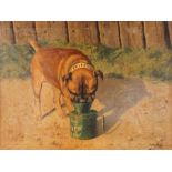 19th Century continental school, study of a bull mastiff, "Fritz", oil on canvas indistinctly signed